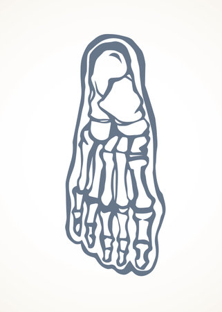 Healthy limb posture section element diagnostic concept on white text space. Black line hand drawn hip medial care logo pictogram in doodle art vintage style. Analysis abstract frontal above top viewのイラスト素材