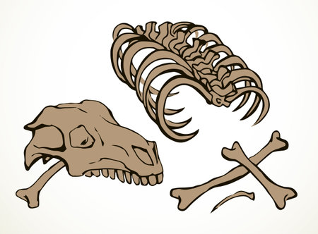 Closeup big white limb goat pet leg eat part antique retro age bull hip hunt nature element. Line hand drawn old die ram roe cow sheep body fibula joint dog wolf food meal icon sign sketch art cartoonのイラスト素材