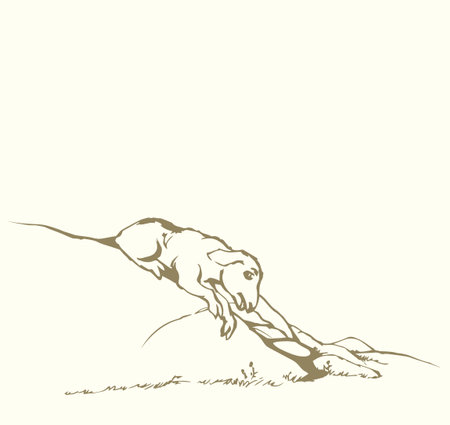 Small young sick white wool ram cub prey meal rural biblic little grass hill. Black line hand drawn bible sin story herd fall down hurt leg lay blood pain die fear look god help care trap life old artのイラスト素材