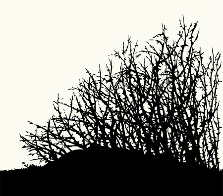 Closeup bible scenic view old dry hip rose wood sky text space biblic field scene. Outline dark hand drawn faith sow seed pain twig fruit shape sign icon logo emblem design retro line doodle art styleのイラスト素材
