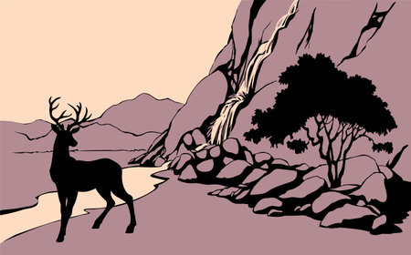 Cute big elegant strong power young adult horn head muzzle fawn stand rut drink fall brook rocky sky scenic view. Old large doe travel dry sand lawn land wood forest plant zoo life flow even scene artのイラスト素材