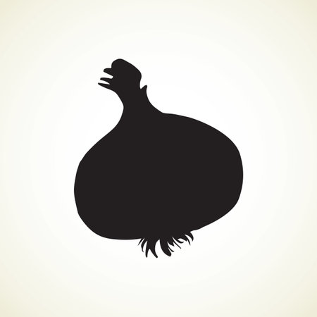 Ripe dry eco Allium sativum fruitful isolated on grey backdrop. Dark ink hand drawn picture in art print style. Closeup view with space for textのイラスト素材