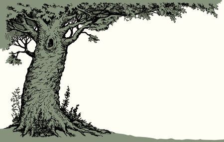 Large farm lush maple shrub twig dark black ink line hand drawn fall travel art style. Light calm morn life big acorn leaf even icon sign view border text space rural yard lake outline artist artworkのイラスト素材