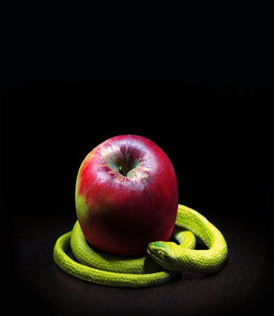 Close up ancient vintag faith creepy green venom pet cun desire park plant dark earth text space Closeup old human forest lie ripe fresh sweet tasty seduce sceneの写真素材