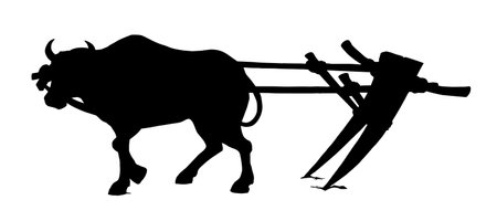 Black line hand drawn male carabao beast pet bridl dig furrow job harvest labor. Close up historic rustic tillage yoke culture icon sign symbol history retro age art sketch isolat white sky backgroundのイラスト素材