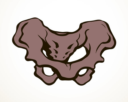 Front view white old sick iliac torso column pubic crest part leg femoral ache therapy scan x ray injury surgery logo. Hand drawn black medic xray spinal ill pain exam diagram line cartoon sketch artのイラスト素材