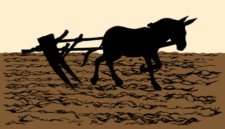 Gray Asian burro ass breed stallion pet go ranch burden isolated white text space. Black line hand drawn art sketch male mule beast mare ride equine retro history rustic Asia sign icon bridle cultureのイラスト素材