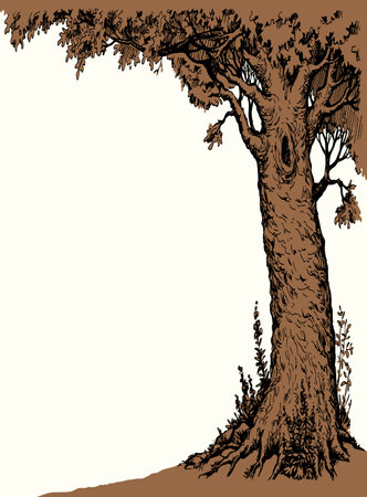 Large farm lush maple shrub twig dark black ink line hand drawn fall travel art style. Light calm morn life big acorn leaf even icon sign view border text space rural yard lake outline artist artworkのイラスト素材