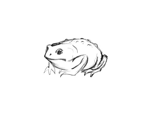 Closeup view big large fun zoo head leg paw jump sit white bog marsh river text space. Dark black line pen hand drawn retro 10 icon sign logo set faith exodus story pencil artの写真素材