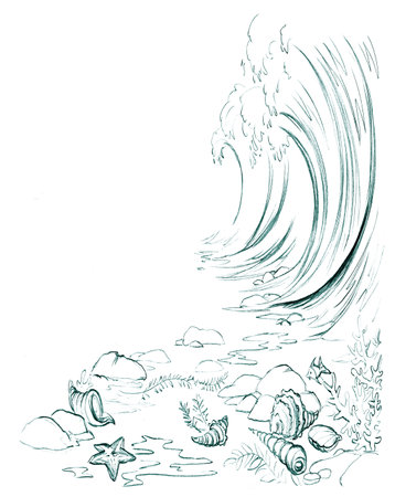 Light white wet salt aqua rock pebbl stone floor text space scene black hand drawn wild tide surf oyster mollusc star Closeup scenic view global hot warm climate sandy bay life cartoon art line sketchの写真素材