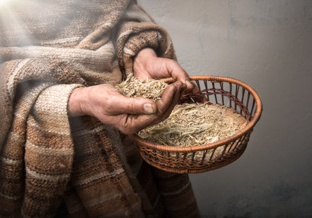 Close up view of a female holding a dry plant in a basket.の写真素材