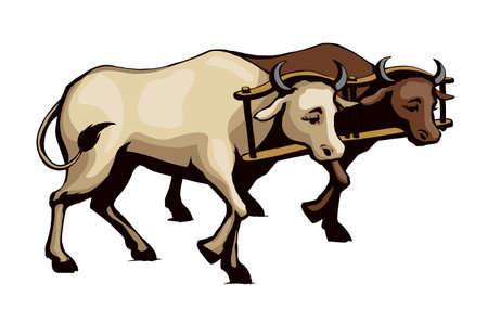 Side view white breed calf pet go dairy beef meat ranch natur labor. black outline hand drawn old hoof horn beast head rein bridle strap collar draft retro bible cartoon line sketch art logo sign iconのイラスト素材