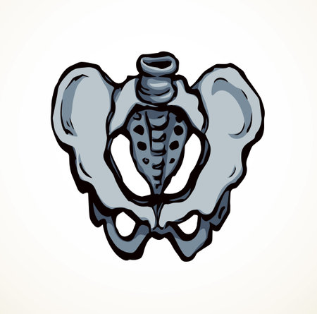 Front view white old sick iliac torso column pubic crest part leg femoral ache therapy scan x ray injury surgery logo. Hand drawn black medic xray spinal ill pain exam diagram line cartoon sketch artのイラスト素材