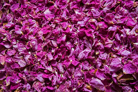 Old art bright red pink purple smell spa botanic bloom oil pile text copy space. Beauty retro rural summer bud detox diet love symbol decor greet wed card close up top macro view holiday frame designの写真素材