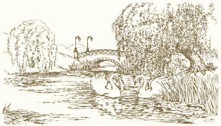 Scenic view wood cute rural light bill beak neck pet walk rest morn stream wave reed plant leaf text space. Outline black ink pen hand drawn village even lamp wed fly fauna retro cartoon line art stylのイラスト素材