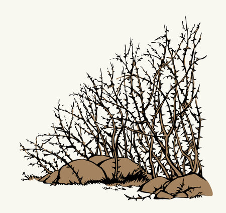 Closeup bible scenic view old dry hip rose wood sky text space biblic field scene. Outline dark hand drawn faith sow seed pain twig fruit shape sign icon logo emblem design retro line doodle art styleのイラスト素材
