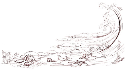Light white wet salt aqua rock pebbl stone floor text space scene black hand drawn wild tide surf oyster mollusc star Closeup scenic view global hot warm climate sandy bay life cartoon art line sketchの写真素材