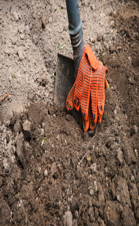 Old closeup hand begin deep hole sow new seed root grass weed bed plant vintage life hobby. Close up view dark brown black fresh bio eco peat mud hide bury pile heap forest outdoor rest conceptの写真素材