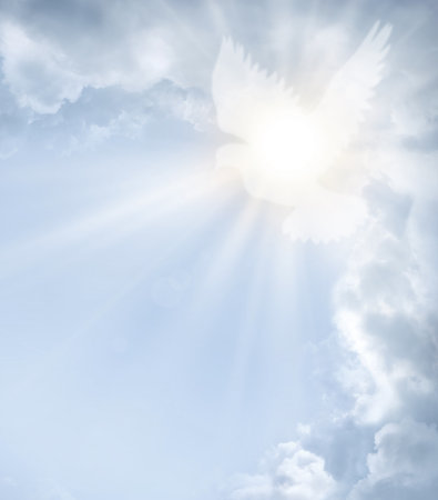 Wild life animal shape purity act happy joy air soar Easter grace day art. Bright shine ray beam divine gospel gift text space wed service ministry celebrate blue greet card belief logo emblem designの写真素材