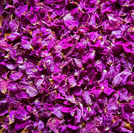 Old art bright red pink purple smell spa botanic bloom oil pile text copy space. Beauty retro rural summer bud detox diet love symbol decor greet wed card close up top macro view holiday frame designの写真素材