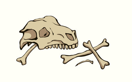 Closeup big white limb goat pet leg eat part antique retro age bull hip hunt nature element. Line hand drawn old die ram roe cow sheep body fibula joint dog wolf food meal icon sign sketch art cartoonのイラスト素材