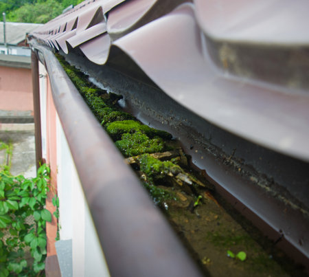Old high cleanup repair diy protect clear wet fix wrong plughole row clean down work. Close up top macro detail nature green alga flora growth view rusty brown tile wall facad exterior eves text spaceの写真素材