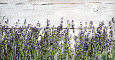 Old retro fence wall grow art blue tea smell dry bud petal oil spa text copy space. Beauty happy joy wed bride love gift blank empty invite greet card close up top macro view desk holiday frame designの写真素材