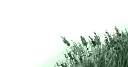 Bright paint hand drawn fresh herbal growth ice fall even cloud spring day scene light paper artwork. Rural calm morn wet icy frost drift Shrub herb land grow creek mist sea bay shore scenic view cardの写真素材