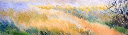 Hand drawn bright paint artwork sketch spring even scenic view floral mow dry herbal weed plant light paper text space. Calm quiet warm fall day glade creek pond dirt track land way morn travel sceneの写真素材
