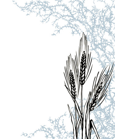 Closeup view dry good cereal crop twig. White text space. Black hand drawn Lord Jesus Christ new word sharp prickly stem danger icon border pattern picture design. Retro art cartoon line sketch styleのイラスト素材