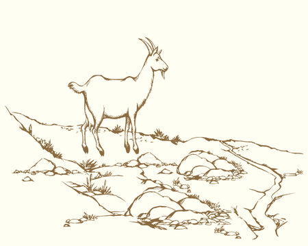 Old Israel rocky hill steppe garden park land lake text space hand drawn biblic art scene. Scenic sky view white milk fawn roe alone stag pet sheep lamb ram stand hunt eat alp plant food drink pondのイラスト素材