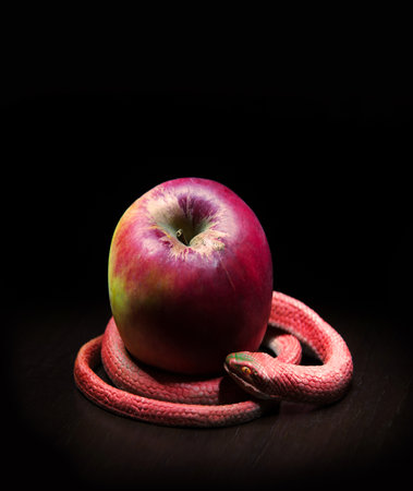 Close up ancient vintag creepy green venom pet cun desire dark earth text space Closeup old human forest lie ripe fresh sweet tasty seduce sceneの写真素材