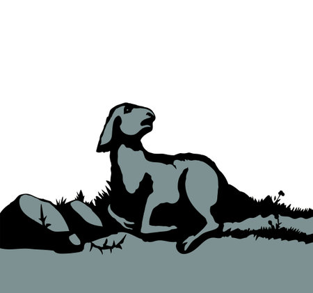 Closeup view cute small biblic young sick ram cub rest rustic ranch grass field Black line hand drawn bible sin story herd fall hurt leg pain die fear baa ask help look god care life old art sign iconのイラスト素材