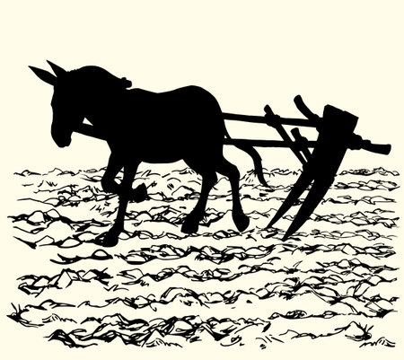 Gray Asian burro ass breed stallion pet go ranch burden isolated white text space. Black line hand drawn art sketch male mule beast mare ride equine retro history rustic Asia sign icon bridle cultureのイラスト素材