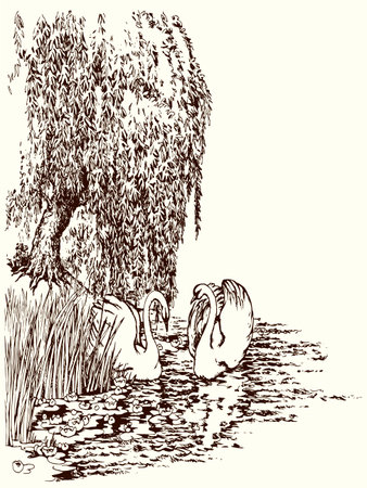 Scenic view wood cute rural light bill beak neck pet walk rest morn stream wave reed plant leaf text space. Outline black ink pen hand drawn old village even wed fly fauna retro cartoon line art styleのイラスト素材