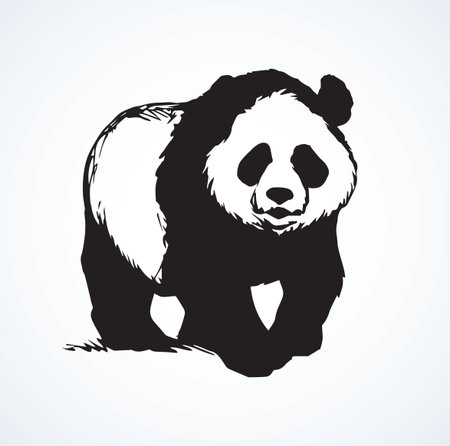 Big cat-foot Ailuropoda melanoleuca standing on light backdrop. Freehand linear dark ink hand drawn picture logo sketchy in art retro scribble style pen on paper. Closeup side view with space for textのイラスト素材