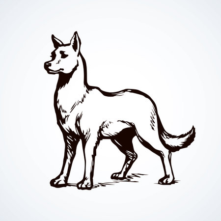 Furry gray canidae lagopus lupus stand on light sky backdrop. Freehand line black ink hand drawn picture sketchy in art retro doodle etching style pen on paper. Closeup side view with space for textのイラスト素材