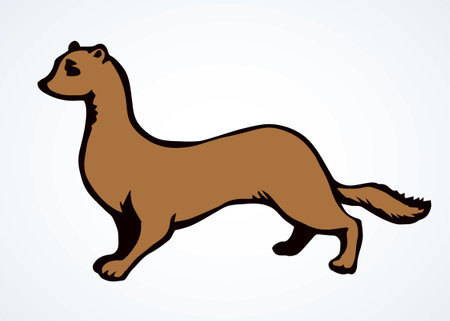 Close up view cute funny arctic least lutra baby set. Light snow text space backdrop. Outline brown ink hand drawn zoo young putorius hunt logo pictogram emblem design. Vintage art doodle print styleのイラスト素材