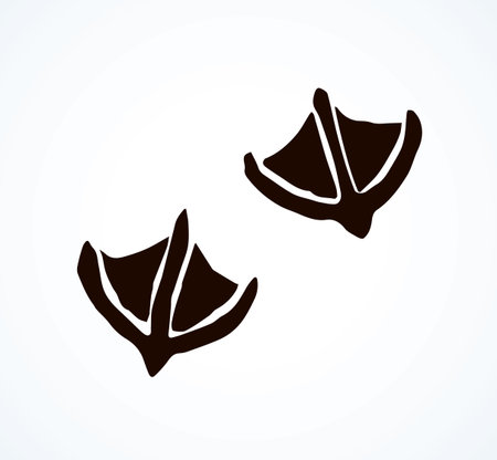 Cute 2 flat mallard pawprint set on white sand backdrop. Freehand line black ink hand drawn vet logo emblem in retro art doodle contour style pen on paper space for text. Funny nestle toe way top viewのイラスト素材