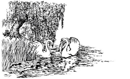 Scenic view wood cute rural light bill beak neck pet walk rest morn stream wave reed plant leaf text space. Outline black ink pen hand drawn old village even wed fly fauna retro cartoon line art styleのイラスト素材