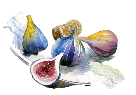 purple figs and champagne corkの写真素材