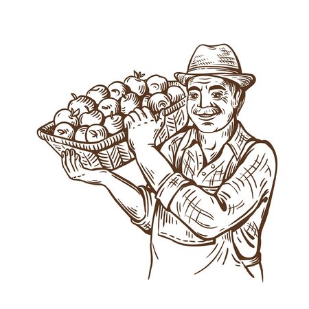 Farm man with basket of apples in hat. Rural portrait. Harvesting. Shop ecological products. Natural fruits.のイラスト素材