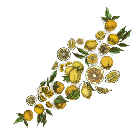 Vector Sketch Background Fruit Citrus Card Hand Drawn のイラスト 素材 ストックフォト 写真素材のstock Foto ストックドットフォト Vector Sketch Background Fruit Citrus Card Hand Drawn のイラスト 素材 ストックフォト 写真素材のstock Foto ストックドットフォト