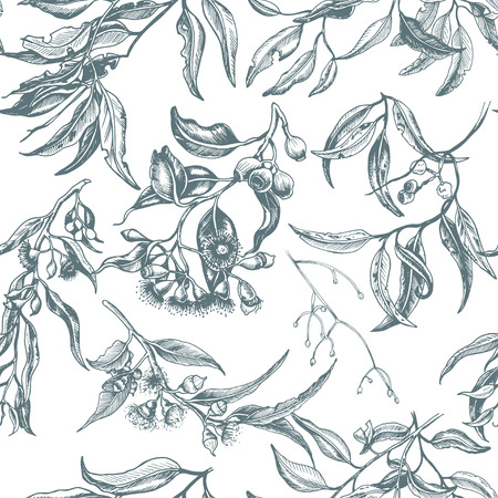 Hand drawn wrdding illustration eucalyptus, succulent flowers.のイラスト素材