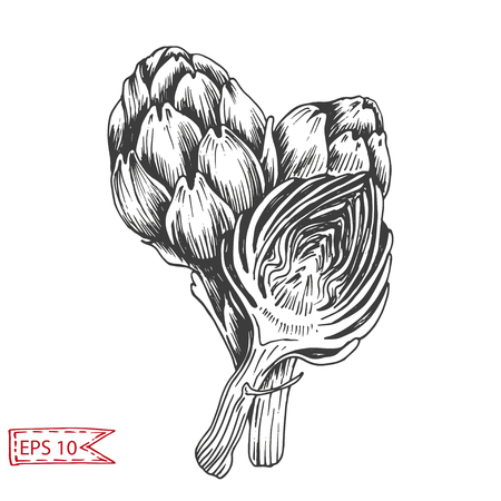 Illustration pattern vegetables - tomato, peas, beans, cabbage, broccoli, onion, lettuce, leek, eggplant, artichoke, vegetables. Background for card menu restaurant.のイラスト素材