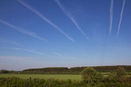 Landscape summer. Field and sky.の写真素材