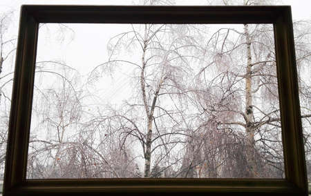 Landscape outside the window. Winter in the frame.の写真素材