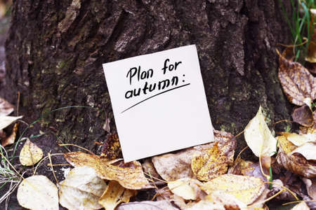 List on paper. Autumn in the forest.の写真素材
