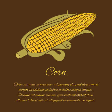 Corn vector greeting card isolated on the dark backgroundのイラスト素材