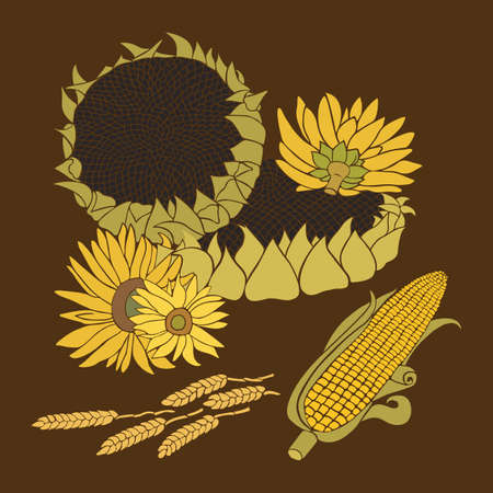 Sunflower and Corn greeting card. Yellow and green flower on the bright backgroundのイラスト素材